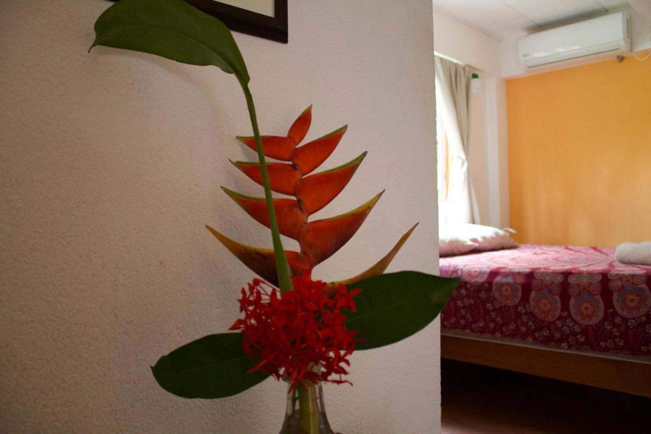 Hostel Tajalin Montezuma Eksteriør billede
